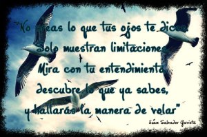 juan salvador gaviota