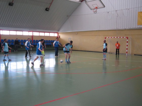 INSOLAMIS FEAFES (2)