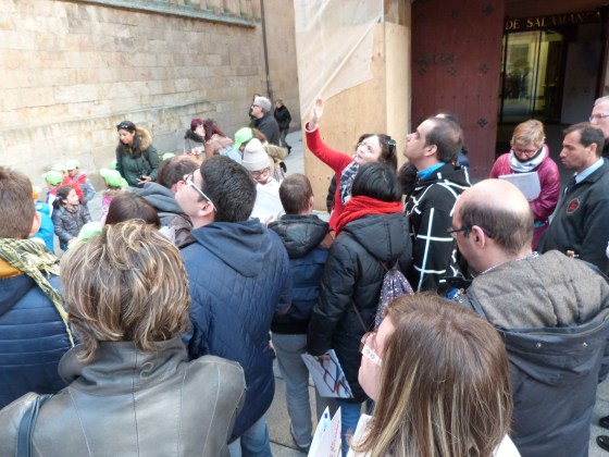 Buscando la famosa rana